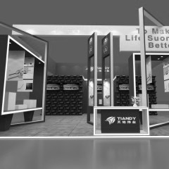 印度國際安防和消防展會IFSEC-天地偉業展位